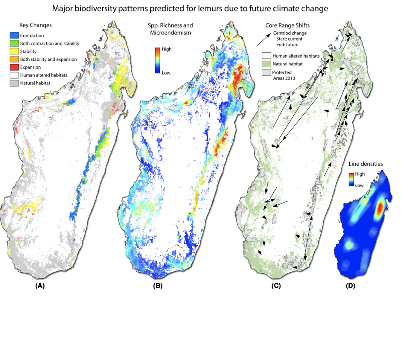 Effect of climate change on lemur distributions